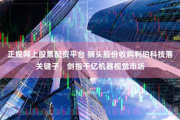 正规网上股票配资平台 狮头股份收购利珀科技落关键子，剑指千亿机器视觉市场
