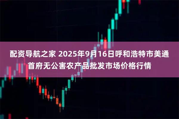 配资导航之家 2025年9月16日呼和浩特市美通首府无公害农产品批发市场价格行情
