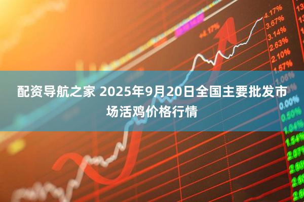 配资导航之家 2025年9月20日全国主要批发市场活鸡价格行情